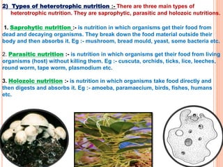 2) Types of heterotrophic nutrition :- There are three main types of
heterotrophic nutrition. They are saprophytic, parasitic and holozoic nutritions.
1. Saprohytic nutrition :- is nutrition in which organisms get their food from
dead and decaying organisms. They break down the food material outside their
body and then absorbs it. Eg :- mushroom, bread mould, yeast, some bacteria etc.
2. Parasitic nutrition :- is nutrition in which organisms get their food from living
organisms (host) without killing them. Eg :- cuscuta, orchids, ticks, lice, leeches,
round worm, tape worm, plasmodium etc.
3. Holozoic nutrition :- is nutrition in which organisms take food directly and
then digests and absorbs it. Eg :- amoeba, paramaecium, birds, fishes, humans
etc.
 