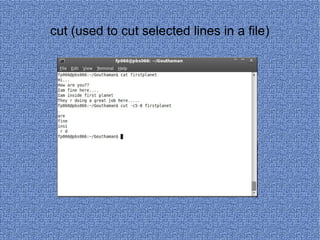 cut (used to cut selected lines in a file) 