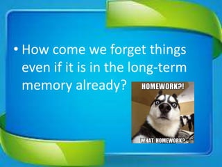 • How come we forget things
even if it is in the long-term
memory already?
 