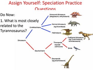 Assign Yourself: Speciation Practice
Questions
Do Now:
1. What is most closely
related to the
Tyrannosaurus?
 