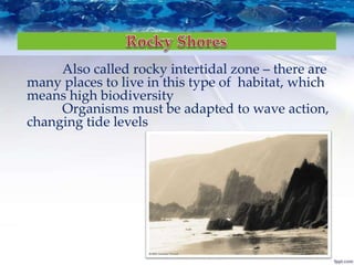 Also called rocky intertidal zone – there are
many places to live in this type of habitat, which
means high biodiversity
Organisms must be adapted to wave action,
changing tide levels
 