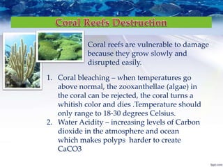 Coral reefs are vulnerable to damage
because they grow slowly and
disrupted easily.
1. Coral bleaching – when temperatures go
above normal, the zooxanthellae (algae) in
the coral can be rejected, the coral turns a
whitish color and dies .Temperature should
only range to 18-30 degrees Celsius.
2. Water Acidity – increasing levels of Carbon
dioxide in the atmosphere and ocean
which makes polyps harder to create
CaCO3
 