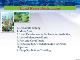 3. Dynamite Fishing
4. Moro Ami
5. Land Development/ Reclamation Activities
6. Loss of Mangrove Forest
7. Fish and Coral Trade
8. Exposure to UV radiation due to Ozone
Depletion.
9. Deep Sea Bottom Trawling
 