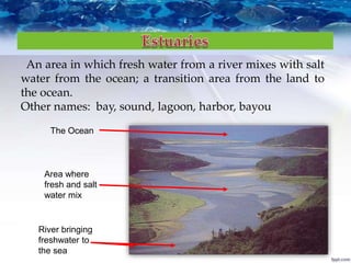 An area in which fresh water from a river mixes with salt
water from the ocean; a transition area from the land to
the ocean.
Other names: bay, sound, lagoon, harbor, bayou
The Ocean
Area where
fresh and salt
water mix
River bringing
freshwater to
the sea
 