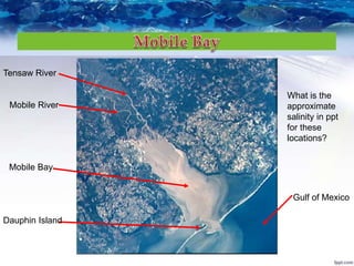 Natural Capital
Tensaw River
Mobile River
Mobile Bay
Dauphin Island
Gulf of Mexico
What is the
approximate
salinity in ppt
for these
locations?
 