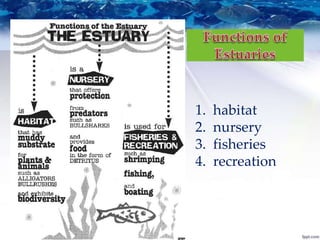 1. habitat
2. nursery
3. fisheries
4. recreation
 