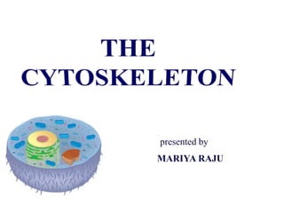 THE CYTOSKELETON