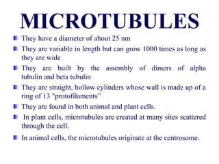 They have a diameter of about 25 nm
They are variable in length but can grow 1000 times as long as
they are wide
They are built by the assembly of dimers of alpha
tubulin and beta tubulin
They are straight, hollow cylinders whose wall is made up of a
ring of 13 "protofilaments”
They are found in both animal and plant cells.
In plant cells, microtubules are created at many sites scattered
through the cell.
In animal cells, the microtubules originate at the centrosome.
 