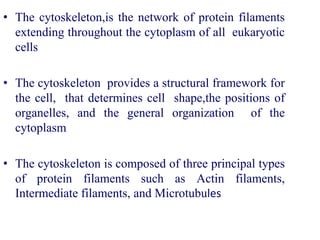 • The cytoskeleton,is the network of protein filaments
extending throughout the cytoplasm of all eukaryotic
cells
• The cytoskeleton provides a structural framework for
the cell, that determines cell shape,the positions of
organelles, and the general organization of the
cytoplasm
• The cytoskeleton is composed of three principal types
of protein filaments such as Actin filaments,
Intermediate filaments, and Microtubules
 