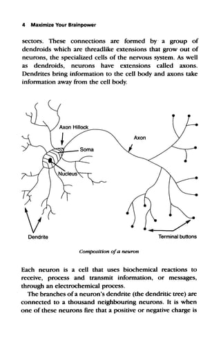 Maximize your brain power