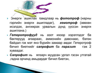 





Энерги ашиглах байдлаар нь фототроф (нарны
гэрлийн энерги ашигладаг),
хемотроф (зөвхөн
исэлдэх, ангижрах урвалын дүнд үүссэн энерги
ашиглана.)
Гетеротрофууд нь азот ихээр хэрэглэдэг ба
бактерууд агаараас, аммонийн давснаас, бэлэн
байдал гэх мэт янз бүрийн замаар авдаг. Гетеротроф
бичил биетнийг сапрофит ба паразит
гэж 2
хуваадаг.
Сапрофит нь ялзарч муудсан ургал гэсэн утгатай
,гадна орчинд амьдардаг бичил биетэн,

 
