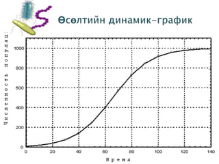 Mb l2