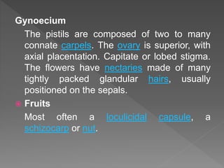 Gynoecium
The pistils are composed of two to many
connate carpels. The ovary is superior, with
axial placentation. Capitate or lobed stigma.
The flowers have nectaries made of many
tightly packed glandular hairs, usually
positioned on the sepals.
 Fruits
Most often a loculicidal capsule, a
schizocarp or nut.
 