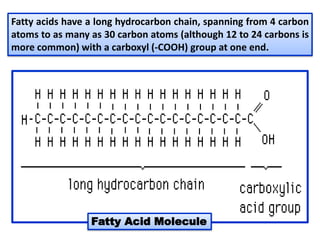 Fatty acids have a long hydrocarbon chain, spanning from 4 carbon
atoms to as many as 30 carbon atoms (although 12 to 24 carbons is
more common) with a carboxyl (-COOH) group at one end.
Fatty Acid Molecule
 