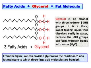 Fatty Acids + Glycerol = Fat Molecule
From the figure, we can envision glycerol as the "backbone" of a
fat molecule to which three fatty acid molecules are bonded.
Glycerol is an alcohol
with three hydroxyl (-OH)
groups. It is a thick,
sweet tasting liquid, that
dissolves easily in water,
because the -OH groups
can form hydrogen bonds
with water (H2O).
 