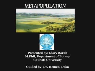 Presented by: Glory Borah
M.Phil, Department of Botany
Gauhati University
Guided by- Dr. Hemen Deka
METAPOPULATION
 