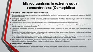 Microorganisms in extreme sugar
concentrations (Osmophiles)
Osmophile Definition and Characteristics
• Osmophiles are a group of organisms that are adapted to survive in environments with high osmotic pressures like high
sugar concentration.
• Osmophilic organisms are similar to halophiles, and xerophiles as all of them have the capacity to survive in environments
with low water activity.
• Osmophiles are mostly found in food with high sucrose content and environments with high osmolarity.
• Fungi are the most common group of organisms that survive as osmophiles. However, organisms of the group Archea and
Bacteria are also important osmophiles.
• Osmophilic organisms are found in different parts of the world, especially in areas with high sugar content like food
sources.
• The ability to adapt to fluctuations in external osmotic pressure and the development of specific mechanisms to achieve
the adaption is fundamental to the survival of cells.
• Most cells maintain an osmotic pressure in the cytoplasm that is higher than that of the surrounding environment, resulting
in an outward-directed pressure, turgor, whose maintenance is essential for cell division and growth.
• Any changes in environmental osmolarity can trigger the flux of water across the cytoplasmic membrane. Thus,
osmophilic organisms develop different mechanisms to overcome the osmotic imbalance.
• Osmophile Examples
• Some common examples of osmophiles include Zygosaccharomyces, Torula, Schizosaccharomyces octosprus, etc.
 