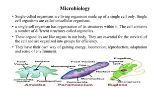 Microbiology
• Single-celled organisms are living organisms made up of a single cell only. Single
cell organisms are called unicellular organisms.
• a single cell organism has organization of its structures within it. The cell contains
a number of different structures called organelles.
• These organelles are like organs in our body. They are essential for the survival of
the cell and are organized into groups for efficiency.
• They have their own way of gaining energy, locomotion, reproduction, adaptation
and sense of environment.
 