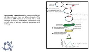 Recombinant DNA technology is the joining together
of DNA molecules from two different species. The
recombined DNA molecule is inserted into a host
organism to produce new genetic combinations that
are of value to science, medicine, agriculture, and
industry.
 