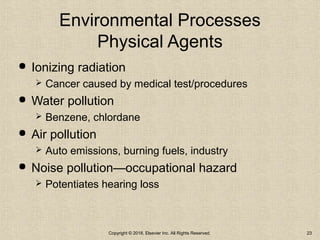 Environmental Processes
Physical Agents
 Ionizing radiation
 Cancer caused by medical test/procedures
 Water pollution
 Benzene, chlordane
 Air pollution
 Auto emissions, burning fuels, industry
 Noise pollution—occupational hazard
 Potentiates hearing loss
Copyright © 2018, Elsevier Inc. All Rights Reserved. 23
 