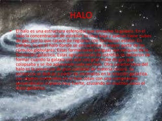 HALO
• El halo es una estructura esferoidal que envuelve la galaxia. En el
halo la concentración de estrellas es muy baja y apenas tiene nubes
de gas, por lo que carece de regiones con formacion estelar. En
cambio, es en el halo donde se encuentran la mayor parte de los
cúmulos globulares. Estas formaciones antiguas son reliquias de la
formación galáctica. Estas agrupaciones de estrellas se debieron de
formar cuando la galaxia era aún una gran nube de gas que
colapsaba y se iba aplanando cada vez más. Otra característica del
halo es la presencia de gran cantidad de materia oscura. Su
existencia se dedujo a partir de anomalías en la rotación galáctica.
Los objetos contenidos en el halo rotan con una componente
perpendicular al plano muy fuerte, cruzando en muchos casos el
disco galáctico.

 