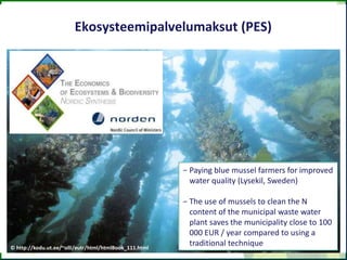 cc

Ekosysteemipalvelumaksut (PES)

- Paying blue mussel farmers for improved
water quality (Lysekil, Sweden)

© http://kodu.ut.ee/~olli/eutr/html/htmlBook_111.html

- The use of mussels to clean the N
content of the municipal waste water
plant saves the municipality close to 100
000 EUR / year compared to using a
traditional technique

 