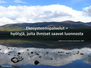 Ekosysteemipalvelut =
hyötyjä, joita ihmiset saavat luonnosta
- Millennium Ecosystem Assessment 2005 -

© M. Kettunen

 