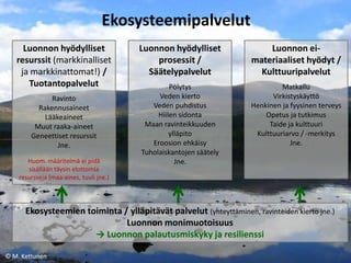 Ekosysteemipalvelut
Luonnon hyödylliset
resurssit (markkinalliset
ja markkinattomat!) /
Tuotantopalvelut
Ravinto
Rakennusaineet
Lääkeaineet
Muut raaka-aineet
Geneettiset resurssit
Jne.
Huom. määritelmä ei pidä
sisällään täysin elottomia
resursseja (maa-aines, tuuli jne.)

Luonnon hyödylliset
prosessit /
Säätelypalvelut

Luonnon eimateriaaliset hyödyt /
Kulttuuripalvelut

Pölytys
Veden kierto
Veden puhdistus
Hiilen sidonta
Maan ravinteikkuuden
ylläpito
Eroosion ehkäisy
Tuholaiskantojen säätely
Jne.

Matkailu
Virkistyskäyttö
Henkinen ja fyysinen terveys
Opetus ja tutkimus
Taide ja kulttuuri
Kulttuuriarvo / -merkitys
Jne.

Ekosysteemien toiminta / ylläpitävät palvelut (yhteyttäminen, ravinteiden kierto jne.)
Luonnon monimuotoisuus
→ Luonnon palautusmiskyky ja resilienssi
© M. Kettunen

 