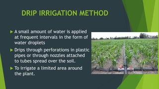 DRIP IRRIGATION METHOD
 A small amount of water is applied
at frequent intervals in the form of
water droplets
 Drips through perforations in plastic
pipes or through nozzles attached
to tubes spread over the soil.
 To irrigate a limited area around
the plant.
 