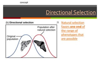 Directional Selection
 Natural selection
favors one end of
the range of
phenotypes that
are possible
concept
 