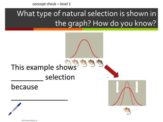 What type of natural selection is shown in
the graph? How do you know?
This example shows
________ selection
because
______________
concept check – level 1
 