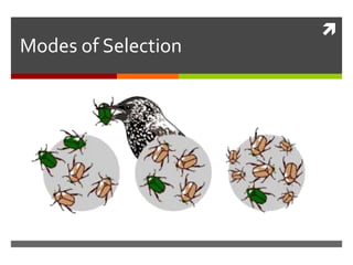 
Modes of Selection
 