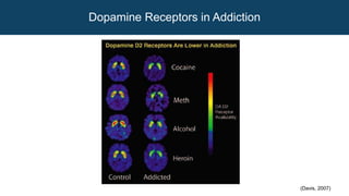 (Davis, 2007)
Dopamine Receptors in Addiction
 