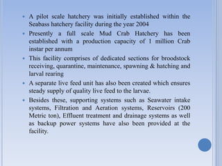  A pilot scale hatchery was initially established within the
Seabass hatchery facility during the year 2004
 Presently a full scale Mud Crab Hatchery has been
established with a production capacity of 1 million Crab
instar per annum
 This facility comprises of dedicated sections for broodstock
receiving, quarantine, maintenance, spawning & hatching and
larval rearing
 A separate live feed unit has also been created which ensures
steady supply of quality live feed to the larvae.
 Besides these, supporting systems such as Seawater intake
systems, Filtration and Aeration systems, Reservoirs (200
Metric ton), Effluent treatment and drainage systems as well
as backup power systems have also been provided at the
facility.
 