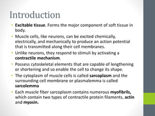 Introduction
• Excitable tissue. Forms the major component of soft tissue in
body.
• Muscle cells, like neurons, can be excited chemically,
electrically, and mechanically to produce an action potential
that is transmitted along their cell membranes.
• Unlike neurons, they respond to stimuli by activating a
contractile mechanism.
• Possess cytoskeletal elements that are capable of lengthening
or shortening and so enable the cell to change its shape.
• The cytoplasm of muscle cells is called sarcoplasm and the
surrounding cell membrane or plasmalemma is called
sarcolemma
• Each muscle fiber sarcoplasm contains numerous myofibrils,
which contain two types of contractile protein filaments, actin
and myosin.
 