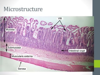 Microstructure
 