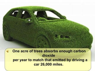 One acre of trees absorbs enough carbon dioxide  per year to match that emitted by driving a car 26,000 miles.  