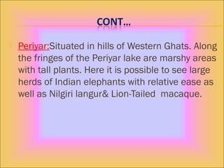  Periyar:Situated in hills of Western Ghats. Along
the fringes of the Periyar lake are marshy areas
with tall plants. Here it is possible to see large
herds of Indian elephants with relative ease as
well as Nilgiri langur& Lion-Tailed macaque.
 