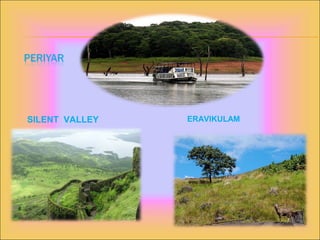 SILENT VALLEY ERAVIKULAM
 