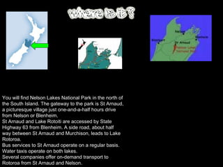 You will find Nelson Lakes National Park in the north of the South Island. The gateway to the park is St Arnaud, a picturesque village just one-and-a-half hours drive from Nelson or Blenheim. St Arnaud and Lake Rotoiti are accessed by State Highway 63 from Blenheim. A side road, about half way between St Arnaud and Murchison, leads to Lake Rotoroa. Bus services to St Arnaud operate on a regular basis. Water taxis operate on both lakes. Several companies offer on-demand transport to Rotoroa from St Arnaud and Nelson. 