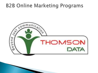 B2B Online Marketing Programs