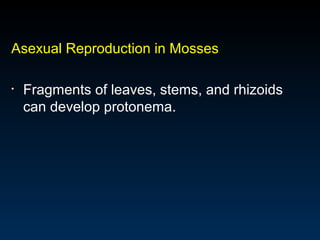 Asexual Reproduction in Mosses 
• Fragments of leaves, stems, and rhizoids 
can develop protonema. 
 