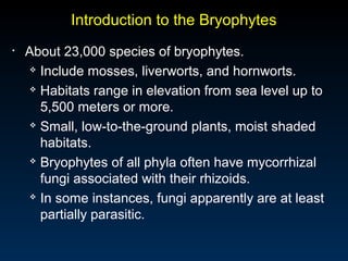 Introduction to the Bryophytes 
• About 23,000 species of bryophytes. 
 Include mosses, liverworts, and hornworts. 
 Habitats range in elevation from sea level up to 
5,500 meters or more. 
 Small, low-to-the-ground plants, moist shaded 
habitats. 
 Bryophytes of all phyla often have mycorrhizal 
fungi associated with their rhizoids. 
 In some instances, fungi apparently are at least 
partially parasitic. 
 