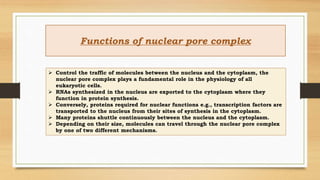 Functions of nuclear pore complex
 Control the traffic of molecules between the nucleus and the cytoplasm, the
nuclear pore complex plays a fundamental role in the physiology of all
eukaryotic cells.
 RNAs synthesized in the nucleus are exported to the cytoplasm where they
function in protein synthesis.
 Conversely, proteins required for nuclear functions e.g., transcription factors are
transported to the nucleus from their sites of synthesis in the cytoplasm.
 Many proteins shuttle continuously between the nucleus and the cytoplasm.
 Depending on their size, molecules can travel through the nuclear pore complex
by one of two different mechanisms.
 