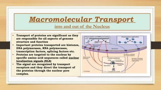 Macromolecular Transport
into and out of the Nucleus
• Transport of proteins are significant as they
are responsible for all aspects of genome
structure and function
• Important proteins transported are histones,
DNA polymerases, RNA polymerases,
transcription factors, splicing factors etc.
• Proteins are targeted to the nucleus by
specific amino acid sequences called nuclear
localization signals (NLS)
• The signal are recognized by transport
receptors and they direct the transport of
the proteins through the nuclear pore
complex.
 