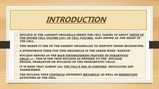 INTRODUCTION
o NUCLEUS IS THE LARGEST ORGANELLE INSIDE THE CELL TAKING UP ABOUT TENTH OF
THE ENTIRE CELL VOLUME (10% OF CELL VOLUME), ALSO KNOWN AS THE HEART OF
THE CELL.
o THIS MAKES IT ONE OF THE EASIEST ORGANELLES TO IDENTIFY UNDER MICROSCOPE.
o A SYNONYMOUS TERM FOR THIS ORGANELLE IS THE GREEK WORD "KARYON".
o NUCLEUS SERVES AS THE MAIN DISTINGUISHING FEATURE OF EUKARYOTIC
CELLS i,e., THIS IS THE TRUE NUCLEUS AS OPPOSED TO THE NUCLEAR
REGION, PROKARYON OR NUCLEIOD OF THE PROKARYOTIC CELLS.
o IT IS HERE THAT ALMOST ALL THE CELL'S DNA IS CONFINED, REPLICATED AND
TRANSCRIBED.
o THE NUCLEUS THUS CONTROLS DIFFERENT METABOLIC AS WELL AS HEREDITARY
ACTIVITIES OF THE CELL.
 