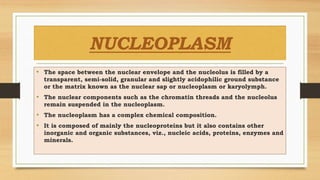 NUCLEOPLASM
• The space between the nuclear envelope and the nucleolus is filled by a
transparent, semi-solid, granular and slightly acidophilic ground substance
or the matrix known as the nuclear sap or nucleoplasm or karyolymph.
• The nuclear components such as the chromatin threads and the nucleolus
remain suspended in the nucleoplasm.
• The nucleoplasm has a complex chemical composition.
• It is composed of mainly the nucleoproteins but it also contains other
inorganic and organic substances, viz., nucleic acids, proteins, enzymes and
minerals.
 