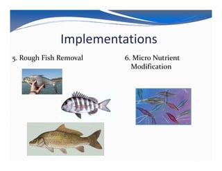 Implementations
5. Rough Fish Removal   6. Micro Nutrient
                          Modification
 