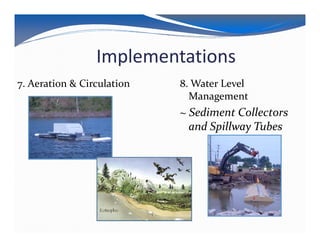 Implementations
7. Aeration & Circulation   8. Water Level
                              Management
                            ~ Sediment Collectors
                              and Spillway Tubes
 