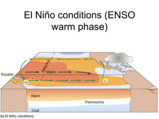 El Niño conditions (ENSO
      warm phase)
 